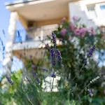 Apartment Nada 1 *