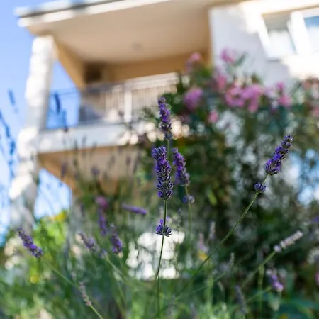 Apartman Nada 1 *